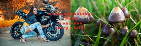 2c-b Балабаново