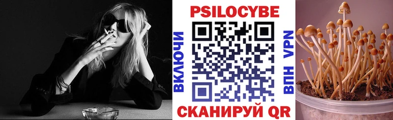 Псилоцибиновые грибы GOLDEN TEACHER Городище