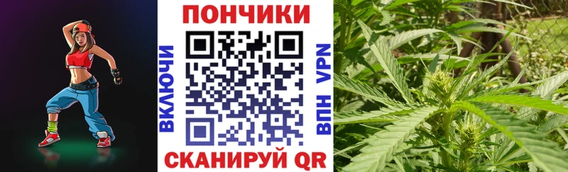 закладка  Городище  Канабис White Widow 